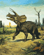 Dinosaurs - Triceratops