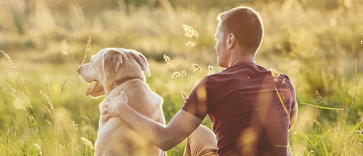 Dog owner sitting in field with his dog - Zoetis