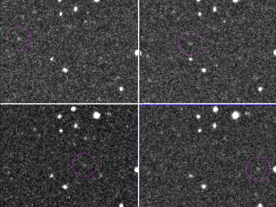 The asteroid, known as 2024 RW1, was discovered today by research technologist Jacqueline Fazekas with the Catalina Sky Survey.