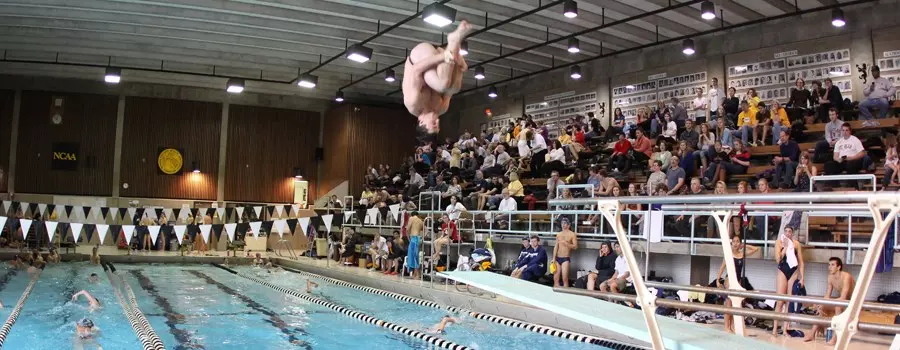 Skoglund Natatorium