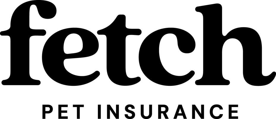 Fetch logo