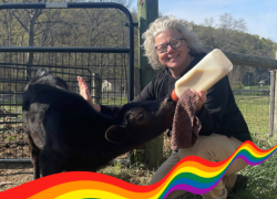 Beth Loy feeding a baby cow with a bottle on a farm.