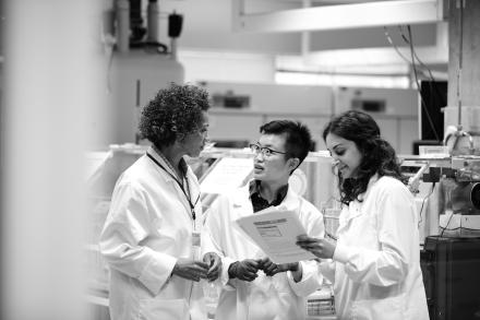 Three researchers discussing a report.