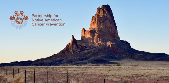 Kayenta landscape with NACP logo.