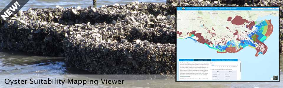 Oyster Suitability Viewer