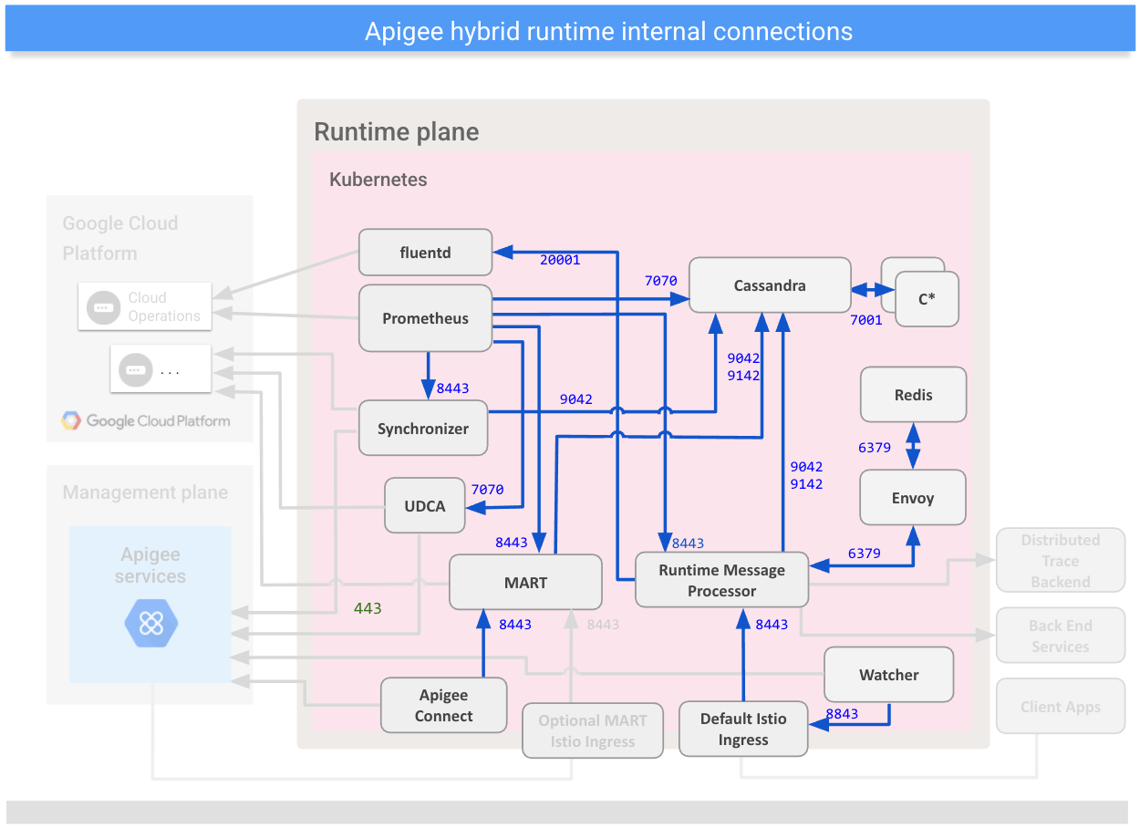 Shows connections
between internal components on the hybrid runtime plane