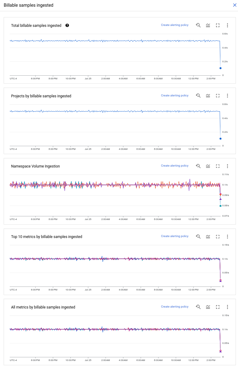 Example of the charts that summarize metric ingestion.