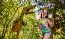 Little girl at The Dinosaur Place at Natures Art Village