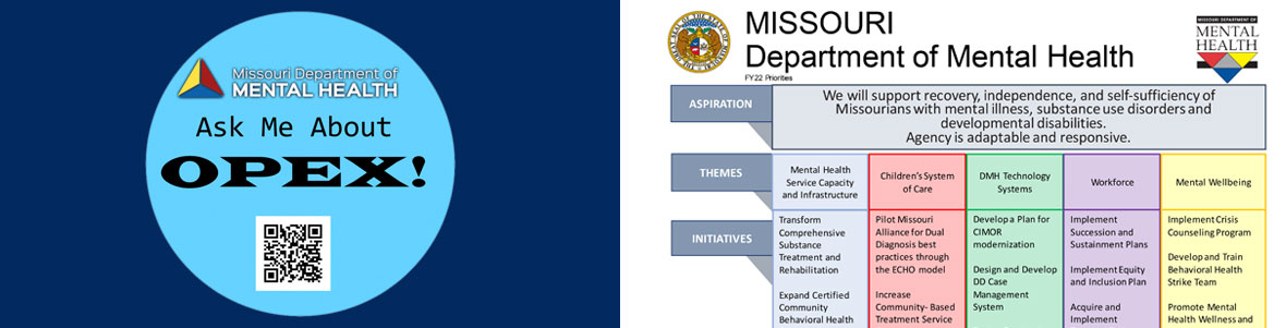 DMH Strategic Priorities