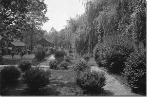 CCC Camp SP-2 - Patapsco State Park