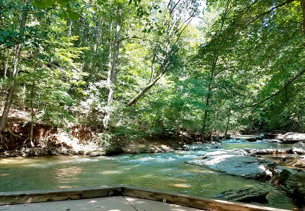 view of Morgan Run from the accessible fishing platform