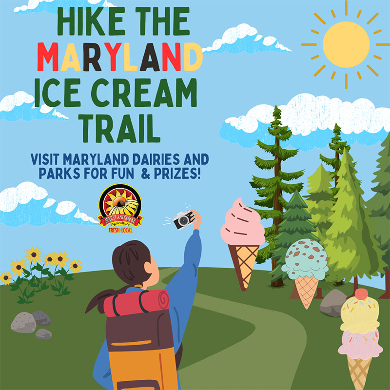 Hiker taking a selfie on a trail with ice cream cones along the path