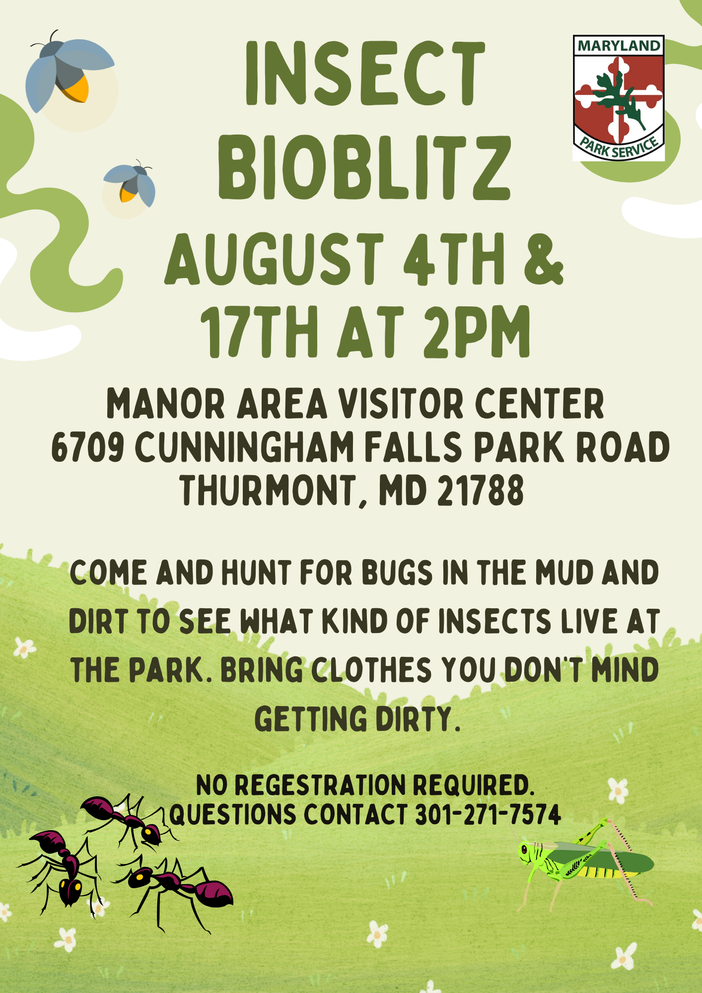 Insect BioBlitz