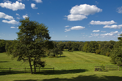 Chapman State Park, photo by  DannyRothell, Rothell Enterprises