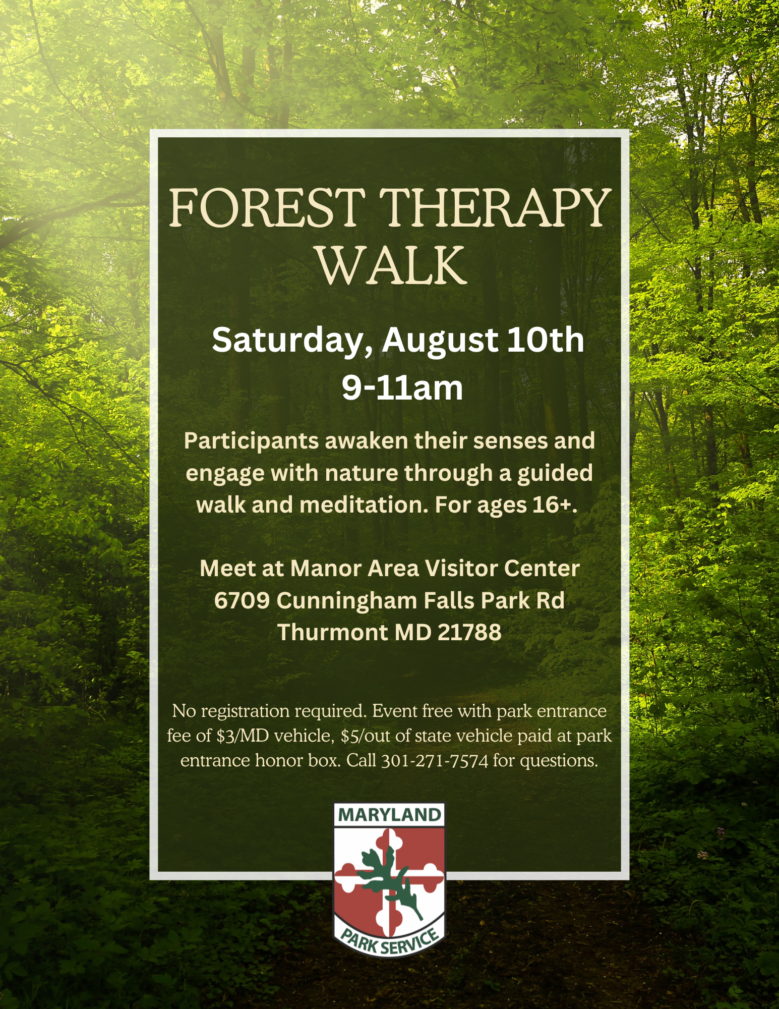 Forest Therapy Walk