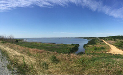 Hart-Miller Island, Photo by Andrea Townsley-Sapp