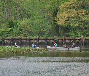 Canoeing at Martinak State Park