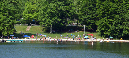 View of the beach from the lake surrounded by green grass and old growth trees