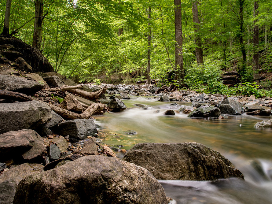 Patapsco River gently winding trough rocky shores