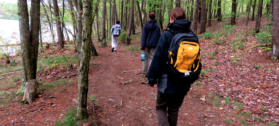 Hikers on a wooded trail by the lake