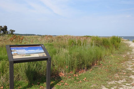 shoreline trail