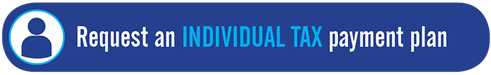 Request an individual tax payment plan