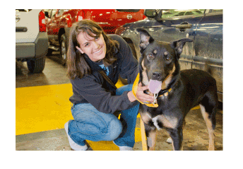 Can I travel with my pet on the ferry?