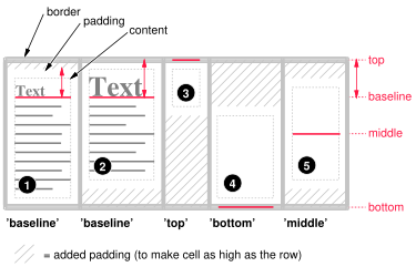 Example of vertically aligning the cells