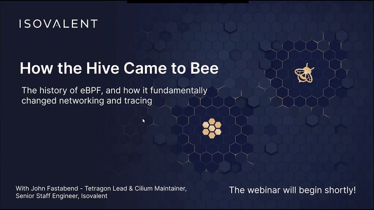 How the Hive Came to Bee - The History of eBPF