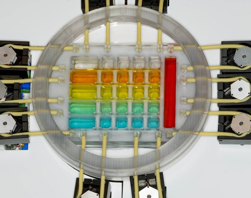 image of multi-tissue chip from ncats.nih.gov