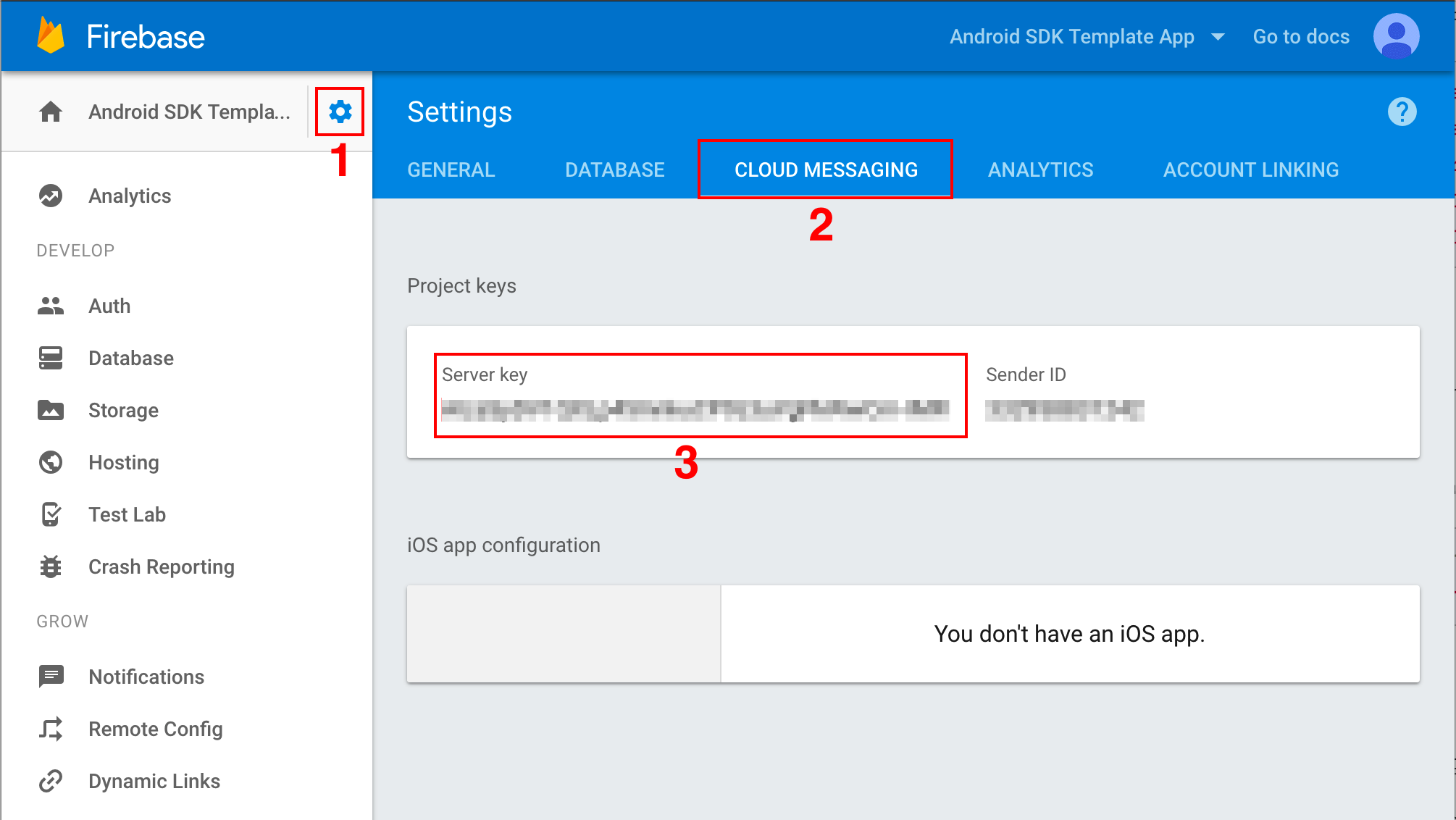 screenshot of server API key in Firebase console