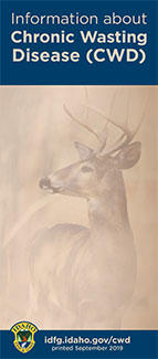 CWD Brochure Cover small