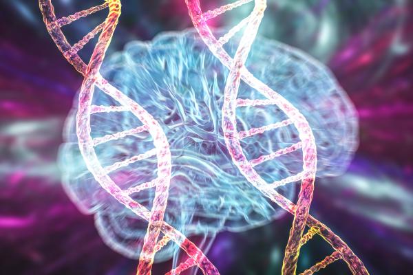 two DNA molecules overlaid on top of a brain