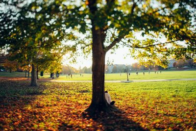 Campus scene, fall 2020