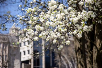 Blacksburg campus in spring 2021