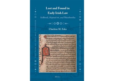 Lost and Found in Early Irish Law book cover
