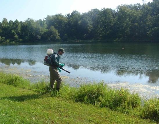 man doing pond management