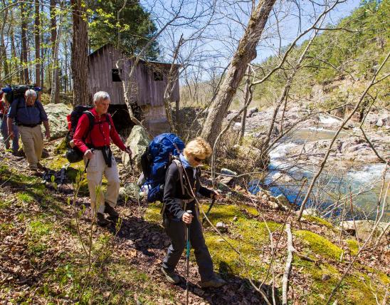 A group of backpackers trek through the woods.