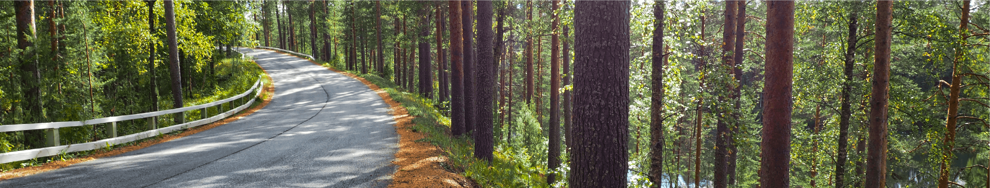 Minnesota lake during the spring season.