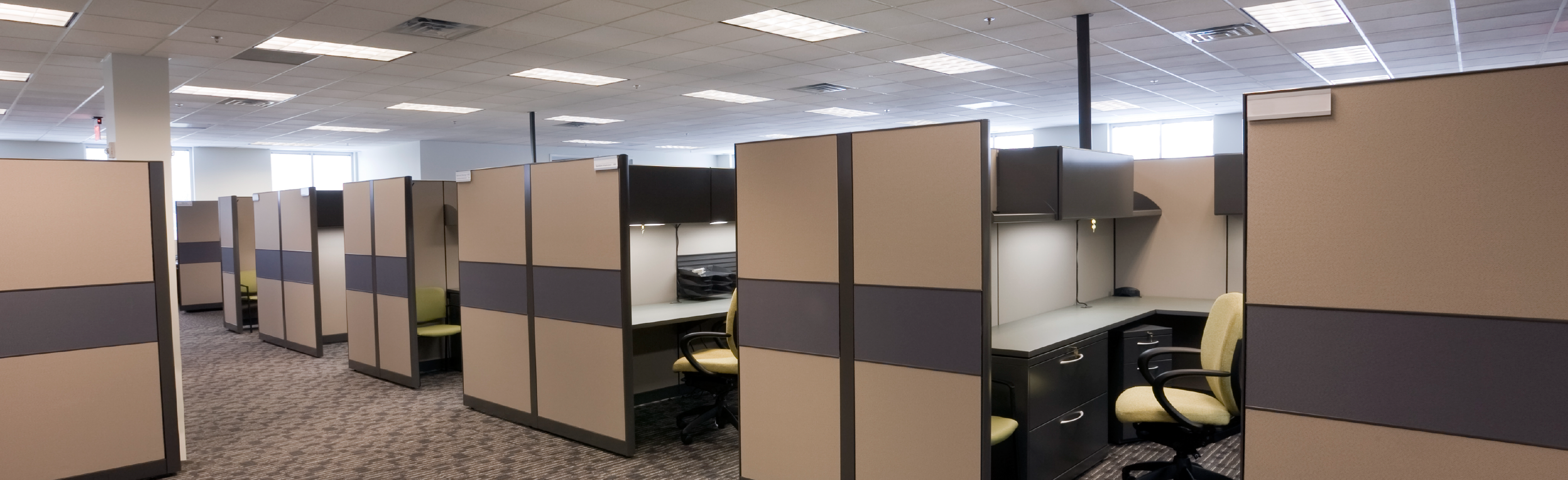 cubicles in a workplace