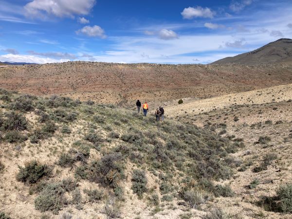 !Students conduct field work