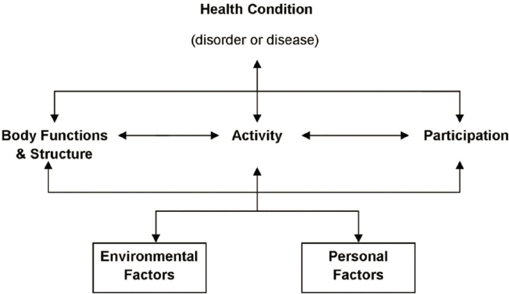 International Classification of Functioning, Disability, and Health framework