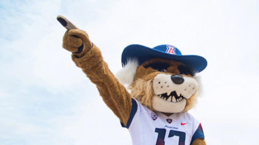 Wilbur Wildcat Mascot