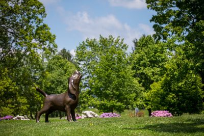 Shiloh statue at the veterinary college during the spring.