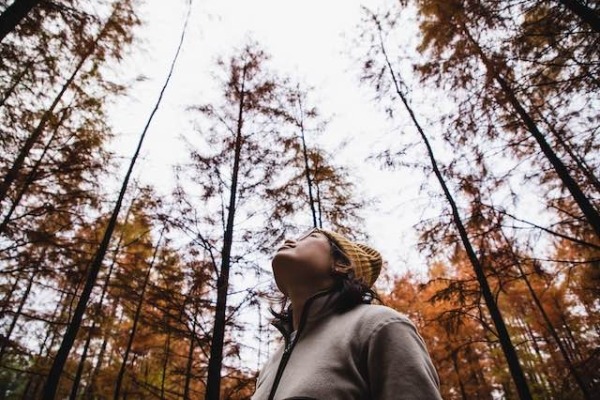 Mujer mirando hacia el cielo sobre las copas de los árboles de un bosque de cipreses.