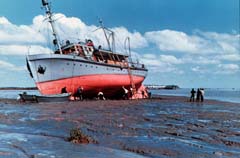 Ship stranded on sandbar