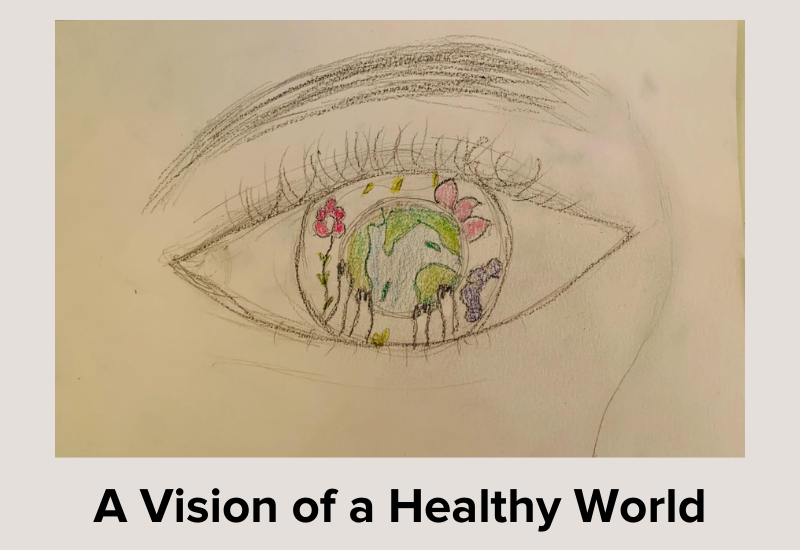 A Vision of a Healthy World