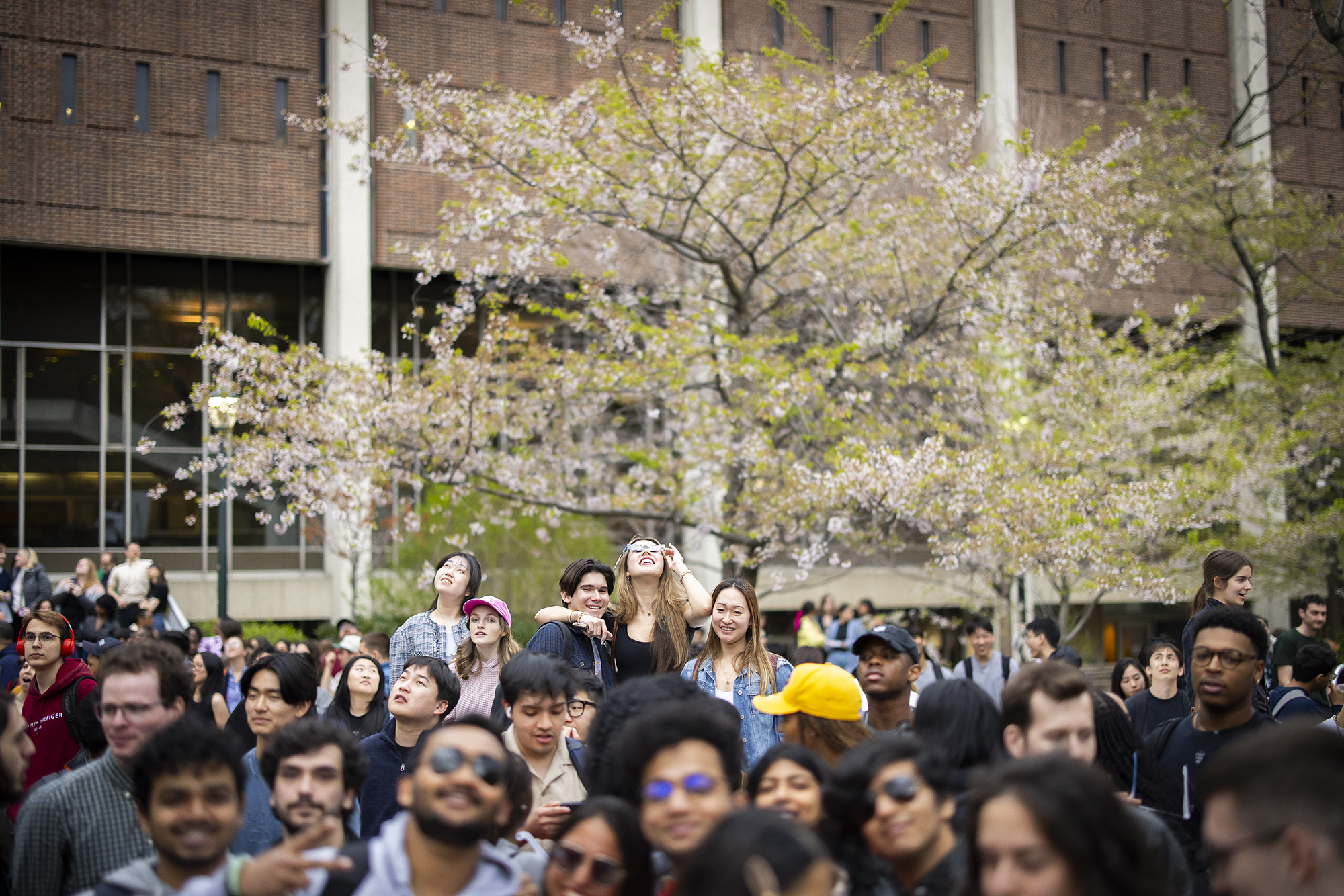 A crowd of people on College Green watching the solar eclipse.