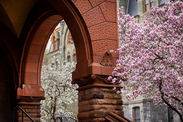 spring trees architecture