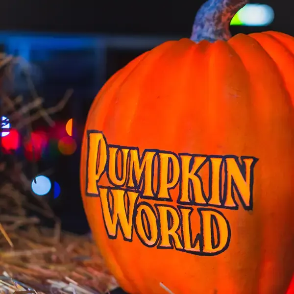 Pumpkin World Experience in Pomona